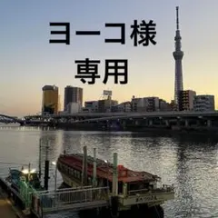 ヨーコ様専用ページです。写真のお皿2種、各2枚