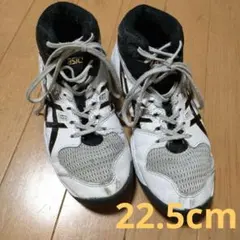 ASICS DUNK SHOT スニーカー　アシックス　ダンクショット 22.5