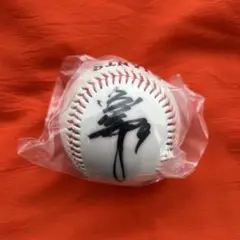 ジャイアンツ 亀井善行 直筆サインボール