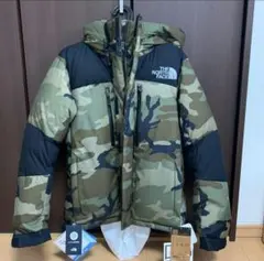 【極美品】2020AW バルトロライトジャケット ND91951