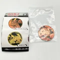 ポケモンコインコレクション　第6弾　グレンアルマ