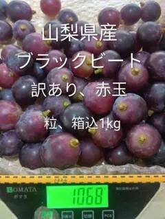 山梨県産】ブラックビート秀品5kg 産地直送 - メルカリ
