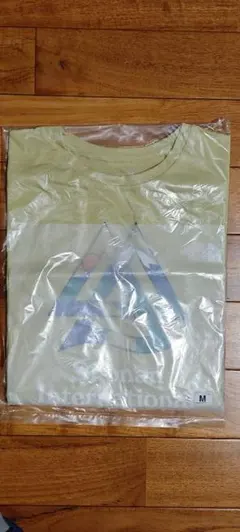 湘南国際マラソン 参加賞 Tシャツ(ノースリーブ) Mサイズ