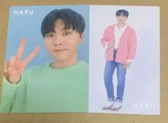 SEVENTEEN HARU トレカ スングァン