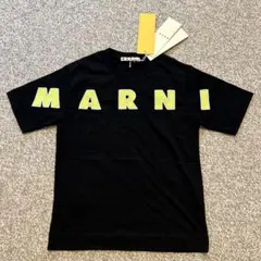 Item thumbnail for item 814cf46d-46c1-4594-9677-dca70a7d208f