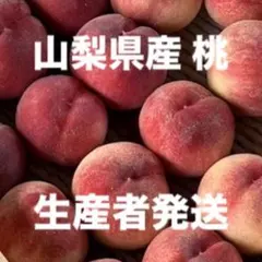 【山梨県産嶺鳳】朝採り桃 訳あり約2kg 硬め・甘いのサムネイル
