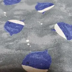 綿麻キャンパス　50×50cm マンボウ