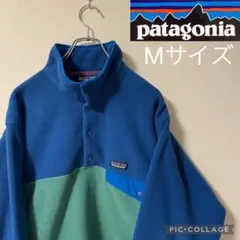 超希少！Patagonia パタゴニア　シンチラ　Mサイズ