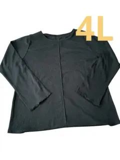 カットソー 長袖 レディース l