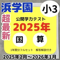 2026年最新】浜学園公開テストの人気アイテム - メルカリ