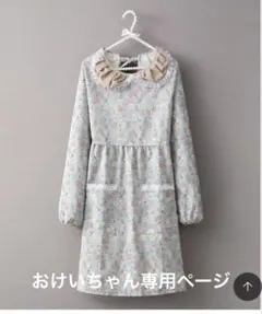 おけいちゃん様 リクエスト 2点 まとめ商品