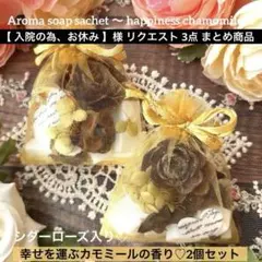 【 入院の為、お休み 】様 リクエスト 3点 まとめ商品