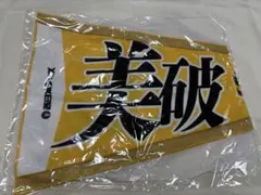 SoftBank Hawks ペナント　美破 2024 ホークス