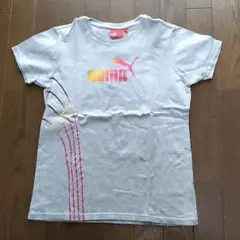 PUMA グレー 半袖Tシャツ