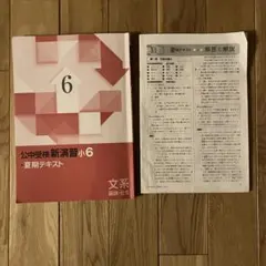 公中受験　新演習小6 夏期テキスト　文系　国語　社会　ドリル　本　小学生　問題集