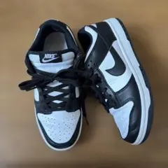 NIKE DUNk 24.5