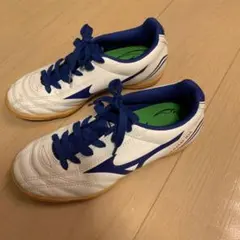 Item thumbnail for item 9524a01f-cc60-408c-8bb3-de341733cec3