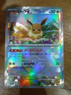 マスターボールミラー