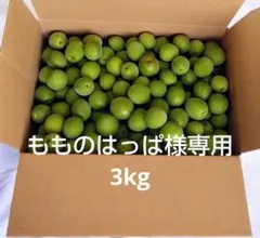 もものはっぱ様専用 青梅3kg