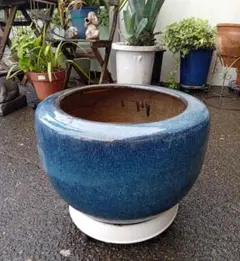 陶器 火鉢 八角形 瑠璃釉 伝統工芸 メダカ Japanese vintage - メルカリ