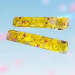 りえこ様 リクエスト 2点 まとめ商品