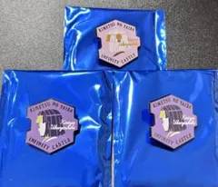 劇場版 鬼滅の刃 無限城編 キャラクターモチーフピンズ 産屋敷輝利哉 くいな