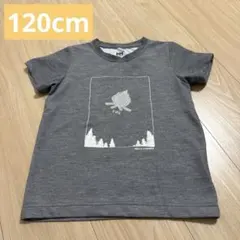 Helly Hansen グレー Tシャツ