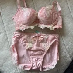 トリンプ C65 Mピンク 花柄レース ブラジャーショーツセット 新品未使用