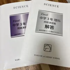 Item thumbnail for item 7ab0ef5b-78be-41fe-b913-837630a6441e