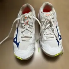 Item thumbnail for item 0578e6e8-a558-42aa-bef6-0ced45cc070b