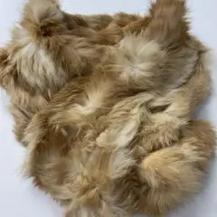 Item thumbnail for item 206aaedc-87da-4d55-95ef-6658a1398169