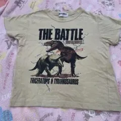 Item thumbnail for item 2b3cea6f-e2b4-46c5-9554-3c93a22bb925