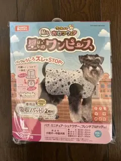 Item thumbnail for item ba45f08c-dae5-4174-9030-f20026688eb8