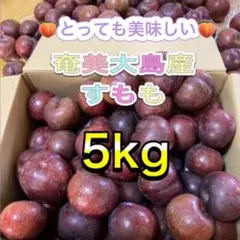 奄美大島産 すもも 5kg 無農薬 - メルカリ