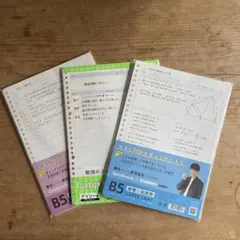 Item thumbnail for item 1190f85f-10fd-4430-b66a-2efe44801e0f