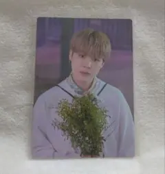 BTS JIMIN ミニフォトカード