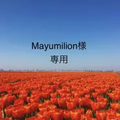 Mayumilion様 リクエスト 4点 まとめ商品