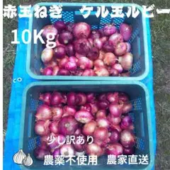 적양파, 켈루다마, 루비, 10kg, 무농약, 농장에서 직송