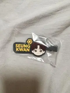 一番くじ PetiTEEN from SEVENTEEN スングァン