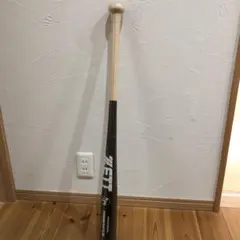 Item thumbnail for item 738f32d9-5027-4c26-924f-01544ff9f45e