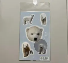 ✨よこはま動物園ズーラシア　ホッキョクグマステッカー✨