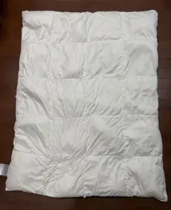 Item thumbnail for item 840efff0-07ce-42c4-95a9-3b75cc24c404