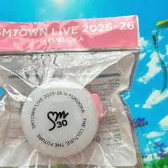 Item thumbnail for item 76397813-f9cb-47ad-a412-f9890d10a6b6