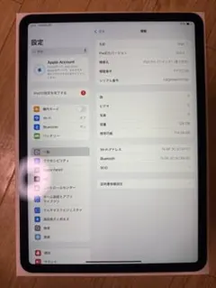 【第2世代】iPad Pro 11インチ Wi-Fi 128GB シルバー