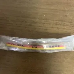 刀ミュ 十周年記念 ミニチュアペンライトチャーム ㊇乱舞野外祭 すえひろがり