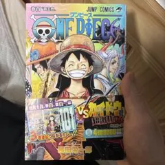 ONE PIECE 100