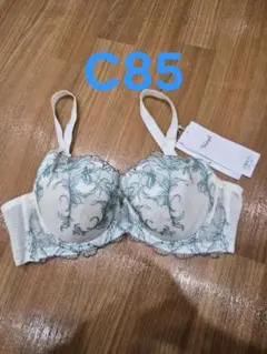 【 C85 】トリンプ 天使のブラ スリムライン 極上ライト634 ブラジャー