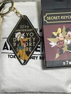 ディズニーストア　シークレットキーチェーン　プルート