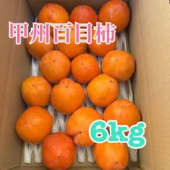 甲州百目柿 渋柿 大玉 6kg 産地直送 【干し柿用/T字ヘタあり】