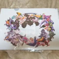 BLEACH EX. 原画展 描き下ろし イラスト クリアファイル